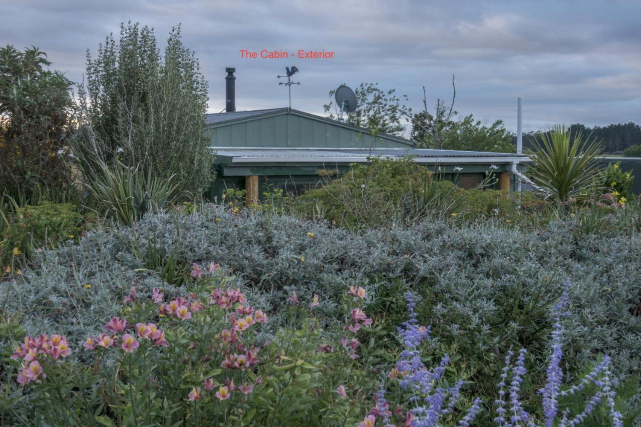 Tracy'S Boutique B&B Farmstay Уэллсфорд Экстерьер фото